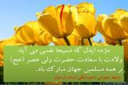 ولادت باسعادت حضرت امام مهدی (عج) بر تمامی مسلمین جهان  مبارک باد.