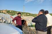 بازدید و بررسی عملکرد واکسیناسیون رایگان دام های عشایری