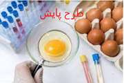 انجام طرح پایش تخم مرغ خوراکی در دامپزشکی لرستان