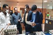  افتتاح مرکز بسته بندی تخم مرغ در بروجرد و نظارت بهداشتی دامپزشکی