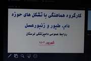 کارگروه هماهنگی دامپزشکی لرستان با تشکل های حوزه دام، طیور، آبزیان و زنبورعسل