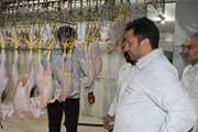 صادرات مازاد گوشت مرغ لرستان به کشور عراق کلید خواهد خورد