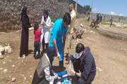 خدمات رسانی دامپزشکی و گروه جهادی "ایلیا " در شهرستان کوهدشت
