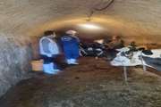 برگزاری اردوی جهاد دامپزشکی در روستای سرنجه دورود