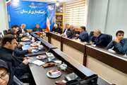 برگزاری جلسه استانی هماهنگی پیشگیری و کنترل تب برفکی در استانداری لرستان