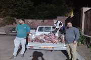 ضبط و معدوم سازی 9 لاشه دام سبک در شهرستان دلفان