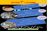 اینفوگرافی دامپزشکی لرستان در رابطه با بیماری تب 3 روزه دامی