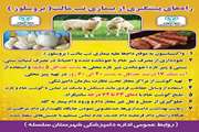 پیشگیری از بیماری تب مالت (بروسلوز)