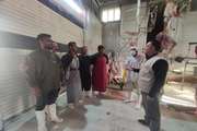 برگزاری دو کلاس آموزشی کنترل تب برفکی در کشتارگاه و میدان دام شهرستان سلسله