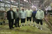 ممیزی و بازرسی فنی کشتارگاه گلشن دام شهرستان خرم آباد