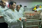 آلبوم تصویری عملکرد دامپزشکی لرستان (هفته اول اردیبهشت 1405)