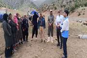 برگزاری اردوی جهاد دامپزشکی در منطقه کهمان شهرستان سلسله