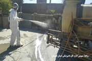 معدوم سازی طیور بومی مبتلا به آنفولانزای فوق حاد پرندگان در روستای تلوری علیا