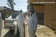 معدوم سازی طیور بومی مبتلا به آنفولانزای فوق حاد پرندگان در روستای تلوری علیا