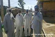 معدوم سازی طیور بومی مبتلا به آنفولانزای فوق حاد پرندگان در روستای تلوری علیا