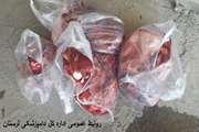 ضبط ومعدوم سازی 150 کیلوگرم گوشت تاریخ مصرف گذشته درشهرستان بروجرد