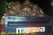 ضبط ومعدوم سازی 560 کیلوگرم کله پاچه غیر بهداشتی درشهرستان چگنی
