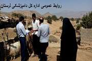 برگزاری اردوی جهادی توسط شبکه دامپزشکی شهرستان چگنی درهفته دولت