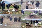 جمع آوری ودفن بهداشتی دامهای تلف شده درشهرستان دلفان