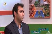 عملکرد قابل قبول دامپزشکی لرستان درمایه کوبی دام سبک وسنگین 