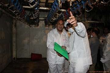 بازدید شبانه مدیرکل دامپزشکی لرستان وهمراهان ازکشتارگاه طیورکوهدشت