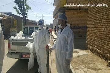 معدوم سازی طیور بومی مبتلا به آنفولانزای فوق حاد طیور در روستای تلوری علیا