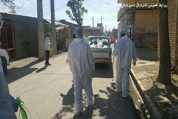 معدوم سازی طیور بومی مبتلا به آنفولانزای فوق حاد طیور در روستای تلوری علیا