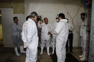 بازدید شبانه مدیرکل دامپزشکی لرستان وهمراهان ازکشتارگاه طیورکوهدشت