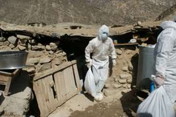 معدوم سازی طیوربومی مبتلا به آنفلوانزای طیور درروستای لارکه سپیددشت