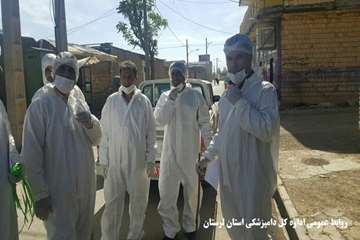 معدوم سازی طیور بومی مبتلا به آنفولانزای فوق حاد طیور در روستای تلوری علیا