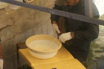 بازدید مدیر کل دفتر بهداشت و مدیریت بیماریهای آبزیان سازمان دامپزشکی کشور و مدیر کل دامپزشکی استان ل