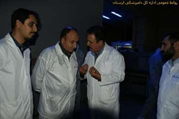 بازدید شبانه مدیرکل دامپزشکی لرستان ازکشتارگاههای طیور بروجرد