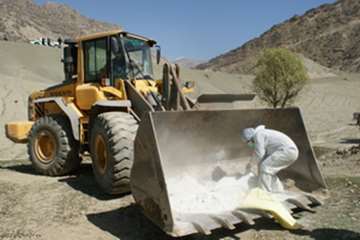 معدوم سازی طیوربومی مبتلا به آنفلوانزای طیور درروستای لارکه سپیددشت