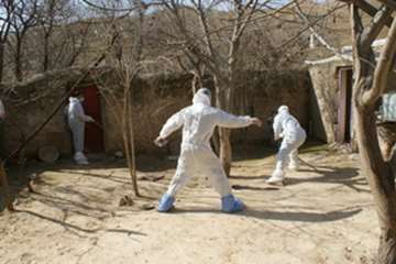 دامپزشکی به روایت تصویر