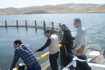 بازدید مدیر کل دفتر بهداشت و مدیریت بیماریهای آبزیان سازمان دامپزشکی کشور و مدیر کل دامپزشکی استان ل