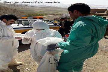معدوم سازی طیور بومی مبتلا به آنفولانزای فوق حاد طیور در روستای باوکی شهرستان الیگودرز در روز اول فر