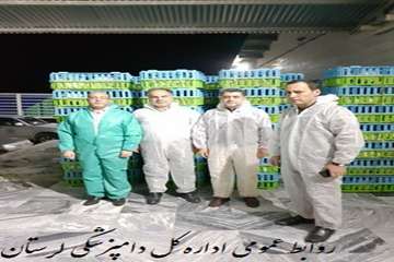 بازدید معاون فرماندار شهرستان بروجرد از کشتارگاه ملس وپرریزان