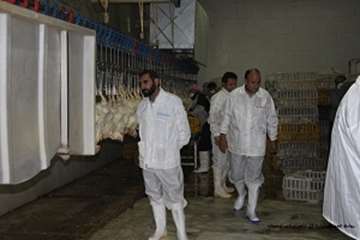 بازدید شبانه مدیرکل دامپزشکی لرستان وهمراهان ازکشتارگاه طیورکوهدشت