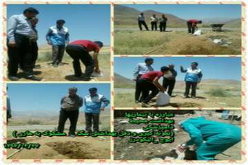 نمونه برداری ودفن بهداشتی یک قلاده سگ مشکوک به بیماری هاری