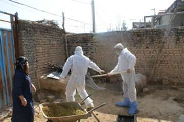 دامپزشکی به روایت تصویر