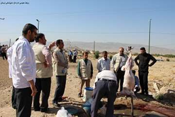 اکیپ نظارت شرعی وبهداشتی اداره کل دامپزشکی لرستان درروزعیدقربان