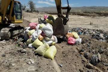 امحاء بیش از3تن ماهی خشک شده غیرقابل مصرف