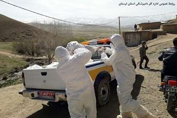 معدوم سازی طیور بومی مبتلا به آنفولانزای فوق حاد طیور در روستای باوکی شهرستان الیگودرز در روز اول فر