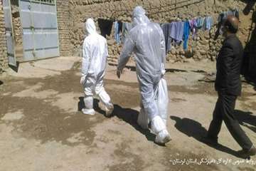 معدوم سازی طیور بومی مبتلا به آنفولانزای فوق حاد طیور در روستای باوکی شهرستان الیگودرز در روز اول فر