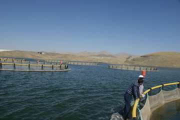 بازدید مدیر کل دفتر بهداشت و مدیریت بیماریهای آبزیان سازمان دامپزشکی کشور و مدیر کل دامپزشکی استان ل