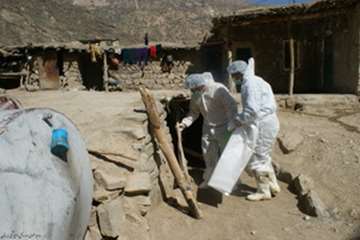 معدوم سازی طیوربومی مبتلا به آنفلوانزای فوق حادپرندگان درروستای لارکه سپیددشت 