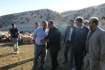 بازدید دکترتوکلی مدیرکل دامپزشکی لرستان وهمراهان از مناطق عشایری شهرستان پلدختر