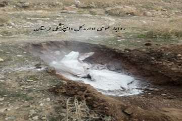 عاملین کشتار دو خوک وحشی در شهرستان کوهدشت دستگیر شدند