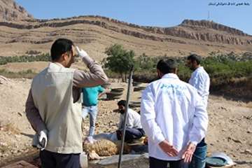 اکیپ نظارت شرعی وبهداشتی اداره کل دامپزشکی لرستان درروزعیدقربان