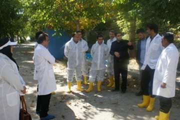 بازدید مدیر کل دفتر بهداشت و مدیریت بیماریهای آبزیان سازمان دامپزشکی کشور و مدیر کل دامپزشکی استان ل